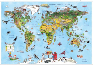 Ilustrovaná mapa světa