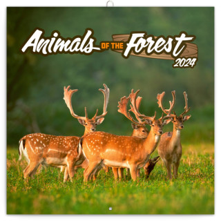 Zvířátka z lesa 2024 - nástěnný kalendář