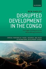 Disrupted Development in the Congo The Fragile Foundations of the African Mining Consensus (Hardback)
