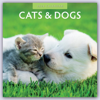Cats & Dogs - Katzen & Hunde 2024 - 16-Monatskalender