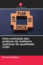 Uma avaliação das práticas de melhoria contínua da qualidade (CQI)