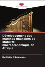 Développement des marchés financiers et stabilité macroéconomique en Afrique