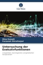 Untersuchung der Exekutivfunktionen
