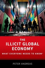 The Global Illicit Economy