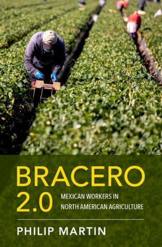 Bracero 2 0