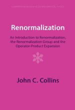 Renormalization