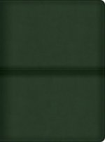 CSB Men's Daily Bible, Olive Leathertouch