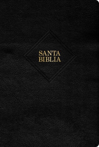 Rvr 1960 Biblia Letra Gigante, Negro, Piel Fabricada (2023 Ed.)