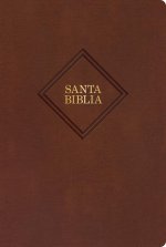 Rvr 1960 Biblia Letra Gigante, Café, Piel Fabricada (2023 Ed.)