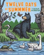 Twelve Days of Summer: A Wildlife Exploration