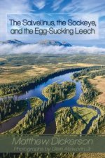 The Salvelinus, the Sockeye, and the Egg-Sucking Leech:: Abundance and Diversity in the Bristol Bay Drainage (from the Eyes of an Angler)