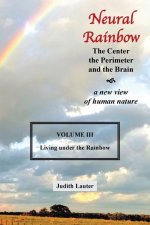 Neural Rainbow: The Center the Perimeter and the Brain
