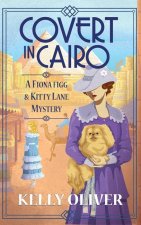 Covert in Cairo
