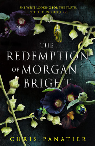 The Redemption of Morgan Bright (Brožovaná)