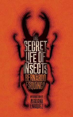 The Secret Life of Insects and Other Stories