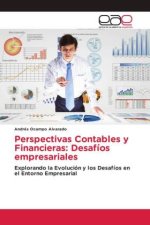 Perspectivas Contables y Financieras: Desafíos empresariales
