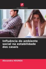 Influ?ncia do ambiente social na estabilidade dos casais