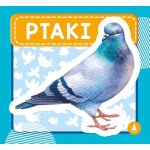 Ptaki. Wydawnictwo Skrzat