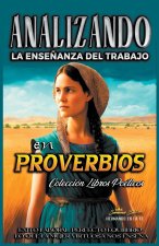 Analizando la Ense?anza del Trabajo en Probervios