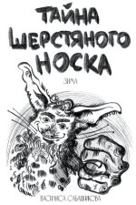Тайна шерстяного носка. З