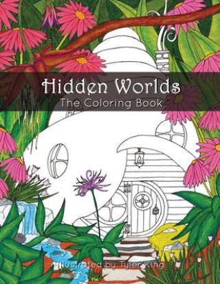 Hidden Worlds