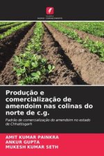 Produç?o e comercializaç?o de amendoim nas colinas do norte de c.g.