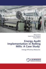 Energy Audit Implementation in Rolling Mills: A Case Study