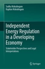 Independent Energy Regulation in a Developing Economy
