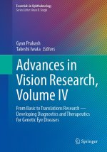 Advances in Vision Research, Volume IV