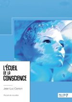 L?écueil de la conscience