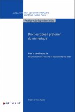 Les grands arrêts du droit du numérique