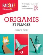 Origami et pliages