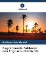 Begrenzende Faktoren des Englischunterrichts