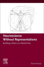 Neuroscience Without Representations