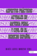 ASPECTOS PRÑACTUCIS ACTUALES EN MATERIA PENAL, PROCESAL PENA