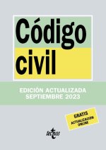 CODIGO CIVIL 42ª EDICION