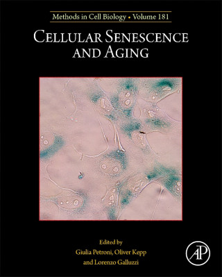 Cellular Senescence and Aging