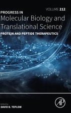 The Hidden World of Protein Aggregation