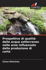 Prospettive di qualit? delle acque sotterranee nelle aree influenzate dalla produzione di carta