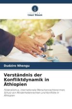 Verständnis der Konfliktdynamik in Äthiopien