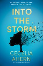Cecelia Ahern Untitled Novel 4