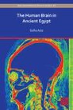 The Human Brain in Ancient Egypt: A Medical and Historical Re-evaluation of Its Function and Importance