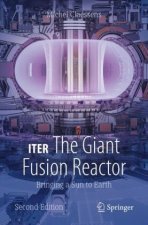 ITER: The Giant Fusion Reactor