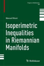 Isoperimetric Inequalities in Riemannian Manifolds