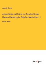 Actenstücke und Briefe zur Geschichte des Hauses Habsburg im Zeitalter Maximilian's I.
