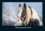 Pferde Kalender 2024 Fotokalender DIN A4