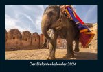 Der Elefantenkalender 2024 Fotokalender DIN A4