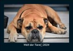Welt der Tiere 2024 Fotokalender DIN A5