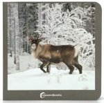 ANIMALES POLARES