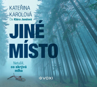 Jinďż˝ mďż˝sto (audiokniha)